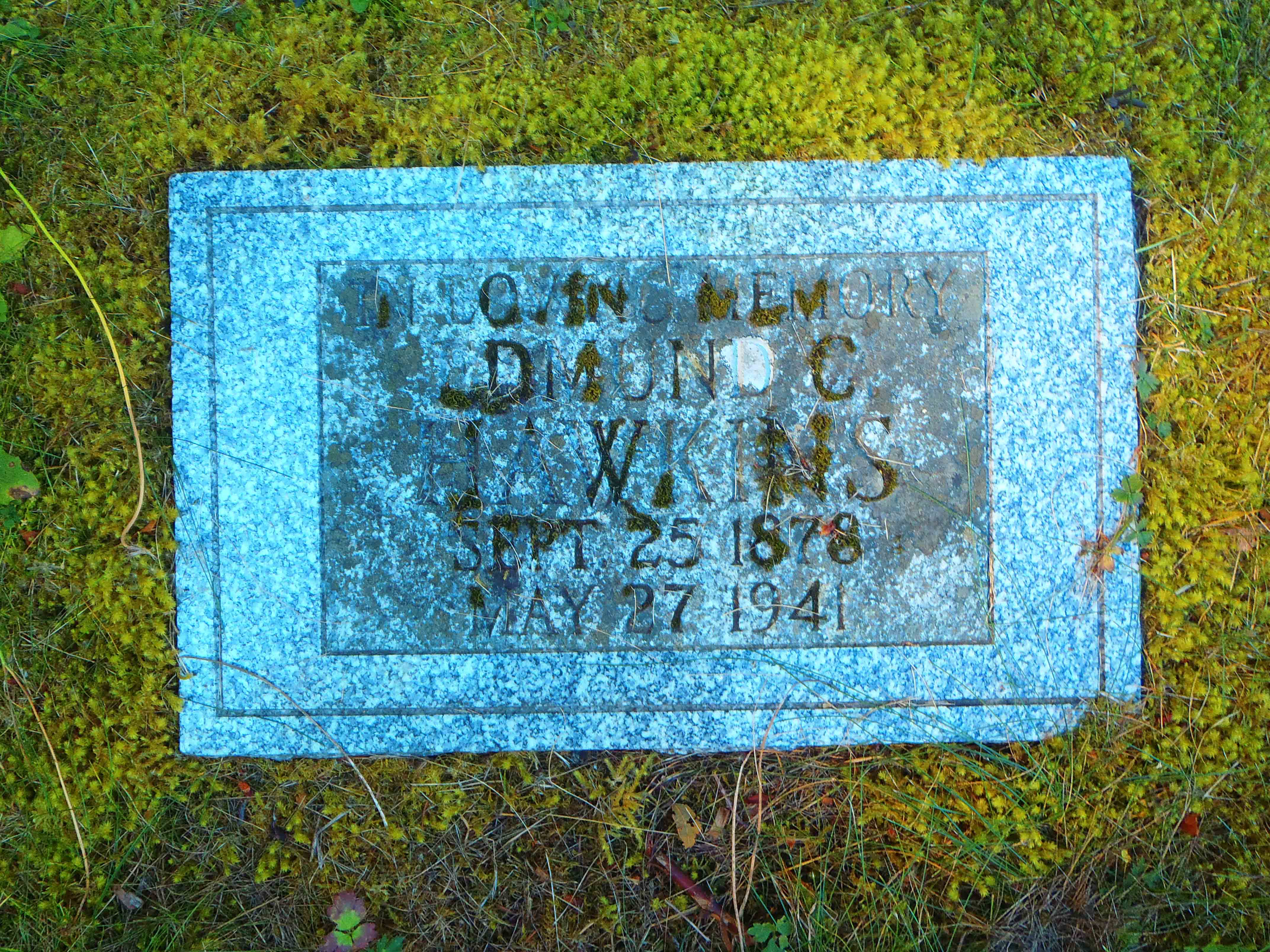 Edmund Coston Hawkins headstone